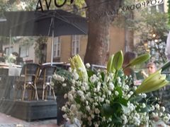 -Casa Nova