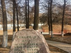 -沙澧河风景区