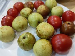 -湘寶缘(育英中学店)