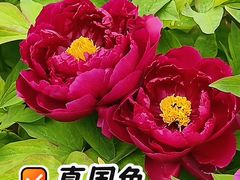 -太阳宫公园