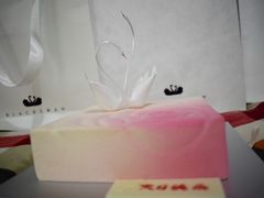 -BLACKSWAN黑天鹅(环球店)
