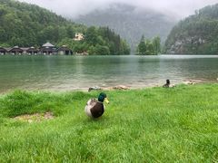 -柯尼希湖