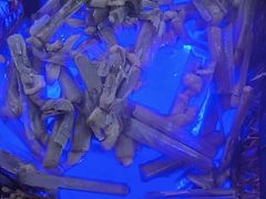 -名扬煮艺肥牛自助火锅(东平店)
