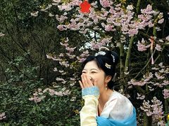 -南山植物园