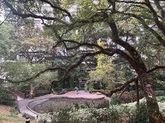 -香港大学