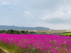 -光明小镇欢乐田园