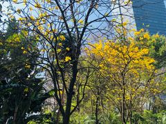 -厝内小眷村(天河南一路店)