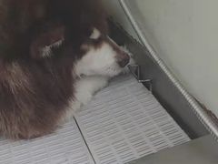 -宠颐生动物医院·小陆分院