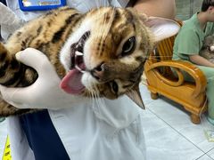 -达爱动物医院·犬猫分区·CT·复杂眼科(远洋山水分院)