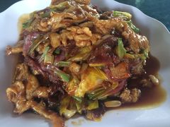 -草根堂农场