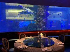 景观位-鲨鱼餐厅.海景川粤餐厅(重庆天地店)