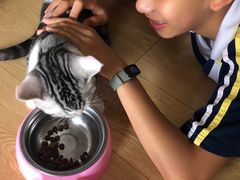 -lincat·猫舍(广州店)