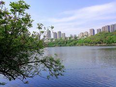 -重庆彩云湖湿地公园