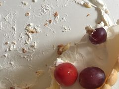 -林记开心动物奶油生日蛋糕(江南春晓店)