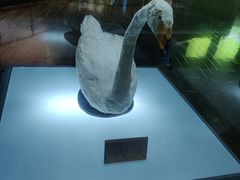 -陕西自然博物馆