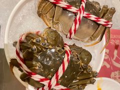 -一绪に寿喜烧(荟聚店)