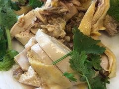 -振鼎鸡(丰庄路店)