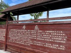-贵州百里杜鹃风景名胜区