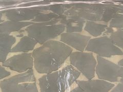 -龙达温泉生态城