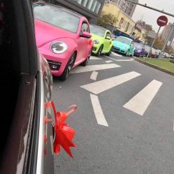 -畅步婚车(浦东店)