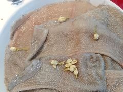 -二荆条·蜀鲜汇城市森林火锅