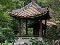 -顺峰山公园