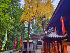 -老君山