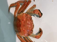 螃蟹-绿岛港轩海鲜烤肉涮锅自助餐厅