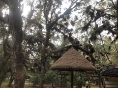 -东寨港红树林旅游区