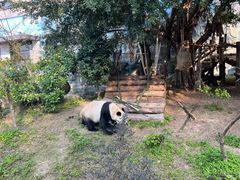 -泉州海丝野生动物世界
