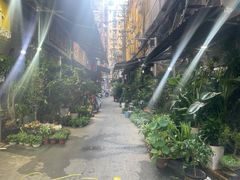 -循礼门鲜花花市(武汉循礼门店)