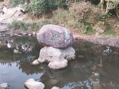 -梧桐山风景名胜区