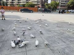 -海河外滩公园