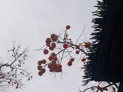 -周口店坡峰岭风景区