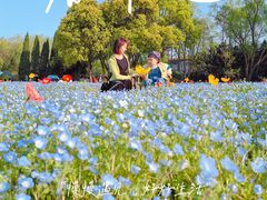 -上海滨江森林公园