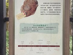 -杭州植物园
