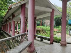 -天鹿湖森林公园