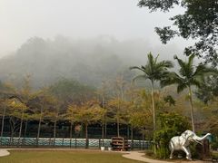 -野象谷景区