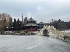 -莲池书院博物馆