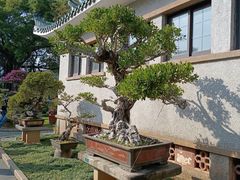 -中山公园