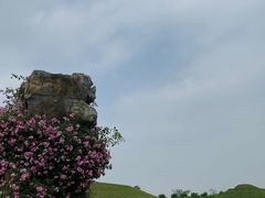 -南通洲际绿博园