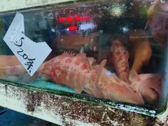 -黄沙水产交易市场