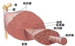 -归位瑜伽&归位普拉提