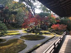 -醍醐寺