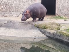 -南昌动物园