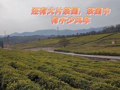 -宜兴龙背山森林公园