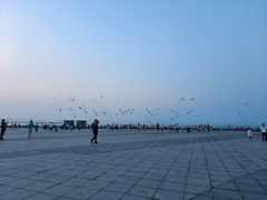 -东港音乐喷泉广场