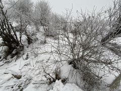 -太子岭滑雪场