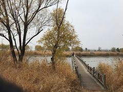 -野鸭湖国家湿地公园