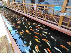 -侠成水上农庄(工业大道店)